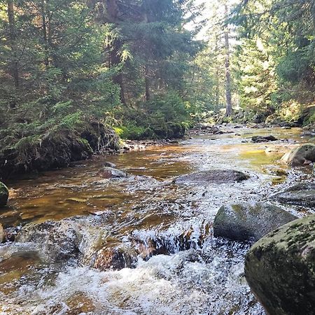 Apartament Pod Swierkami Szklarska Poreba Bagian luar foto