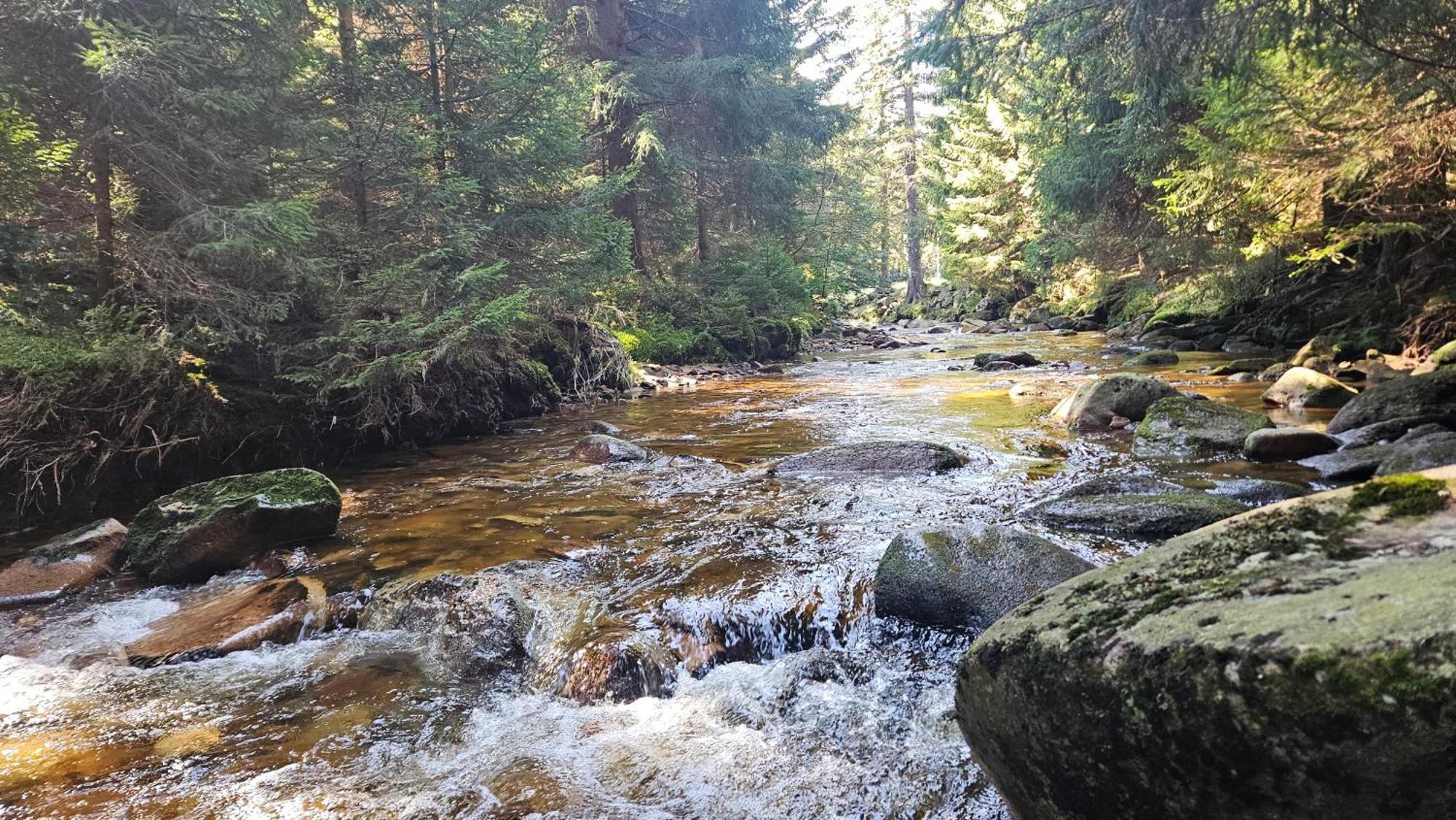 Apartament Pod Swierkami Szklarska Poreba Bagian luar foto
